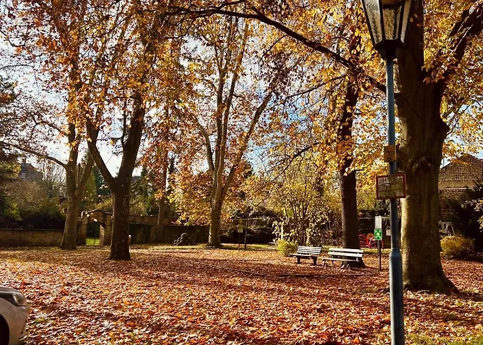 Geib Apartment Meisenheim